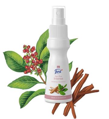 HIGHLIGHT  Deo Plus Intense - Sandelhout