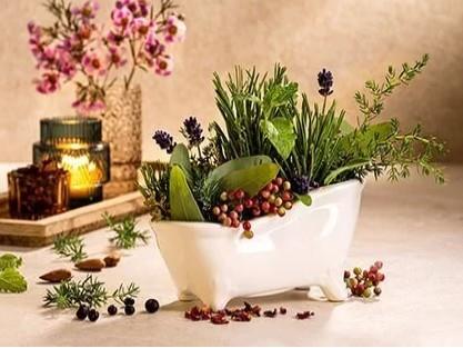 Exclusives Angebot Badeessenzen