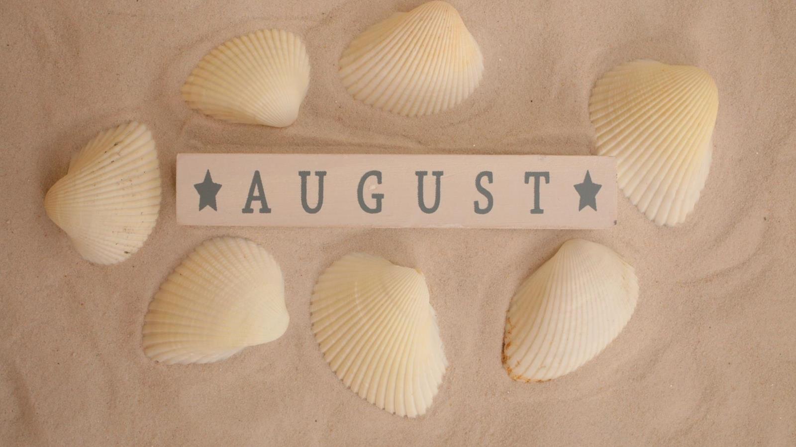 Entdecken Sie unsere Monatsangebote für August