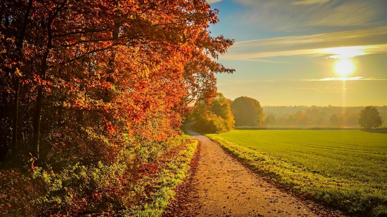 Entdecken Sie unsere Angebote für September