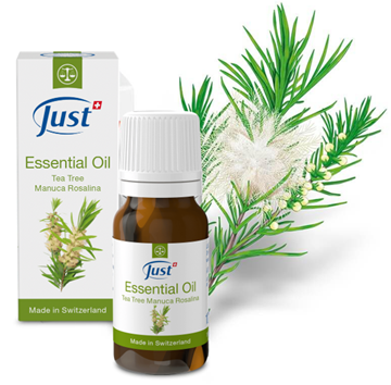 Tea tree | Manuca | Rosalina Etherisch Olie