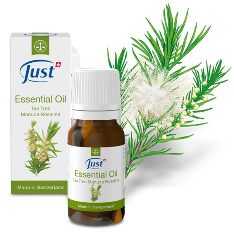 Tea Tree | Manuca | Rosalina Ätherisches Öl