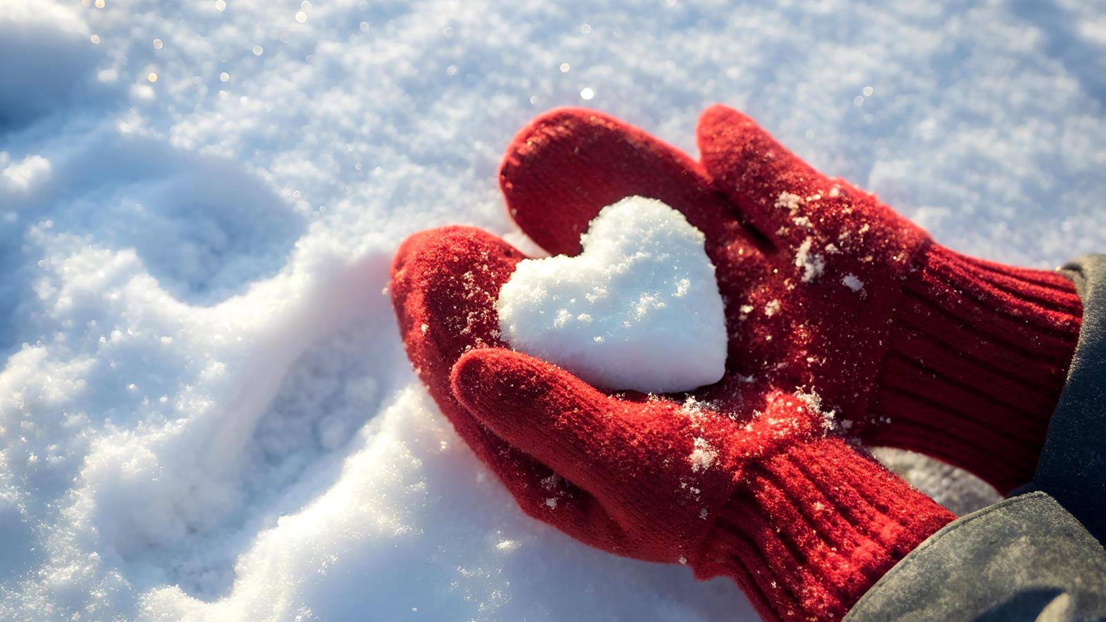 Entdecken Sie unsere  Winterangebote