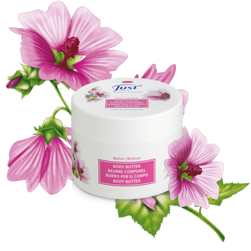 Body butter met malva - Producten