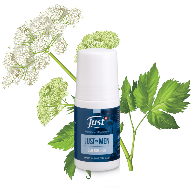 JUST FOR MEN Deo Rollon Deos Just Naturprodukte Für die