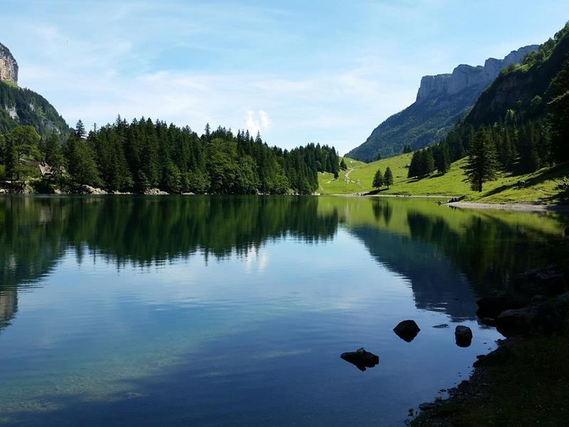 Just Schweiz - Über uns